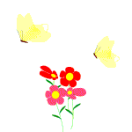 BUTRFLY2.gif (10560 bytes)