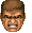 WOLF_FACE.gif (4542 bytes)