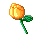 flower.gif (1872 bytes)
