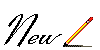 new01.gif (5746 bytes)
