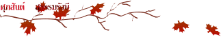 9062a.gif (3558 bytes)