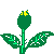 ROSE-Y.gif (3289 bytes)